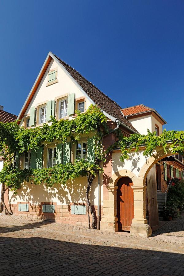 Gaestehaus Zum Weinbauer Родт-под-Ритбургом Экстерьер фото